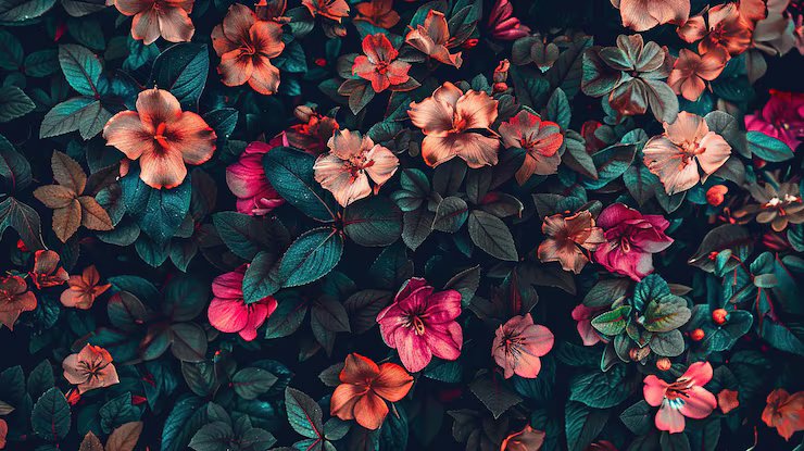 Floral Wallpaper Design